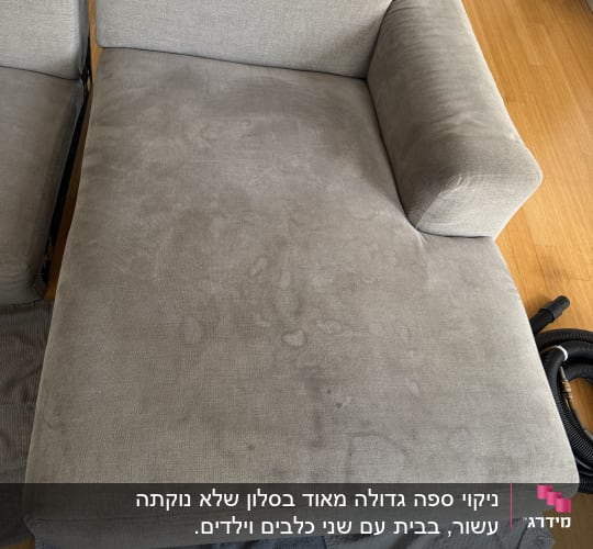 ספה אפורה עם כתמים על רצפת עץ